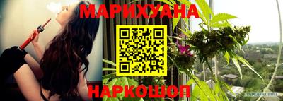 дживик Можга