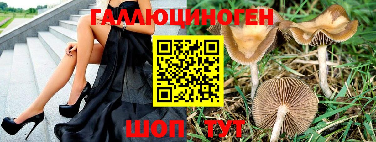 Псилоцибиновые грибы Psilocybe  Вход с VPN  Галлюциногенные грибы мицелий  Губкин 