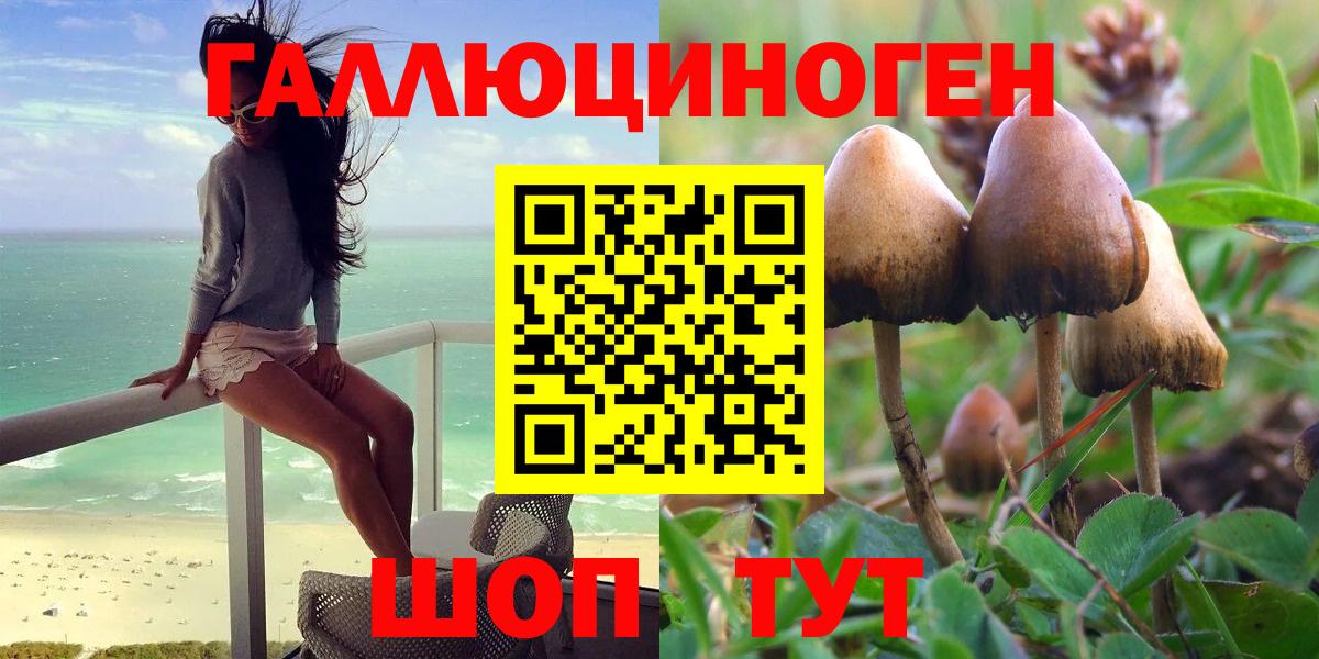 Псилоцибиновые грибы GOLDEN TEACHER Губкин